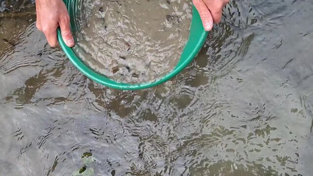 Slow motion close-up footage of a gold prospector washing creek gravel and sediment in a classic green plastic gold pan. Hands swirling muddy water and stones in a mountain stream to search gold