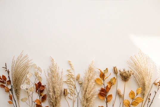 Elegant fall background with dried grasses and subtle foliage along the lower edge, leaving airy copy space for seasonal designs.