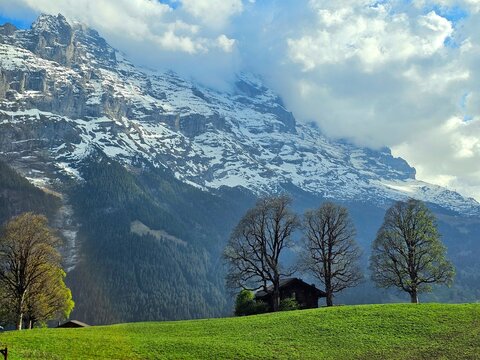 mountain landscape with wooden house at grindelwald, swiss
