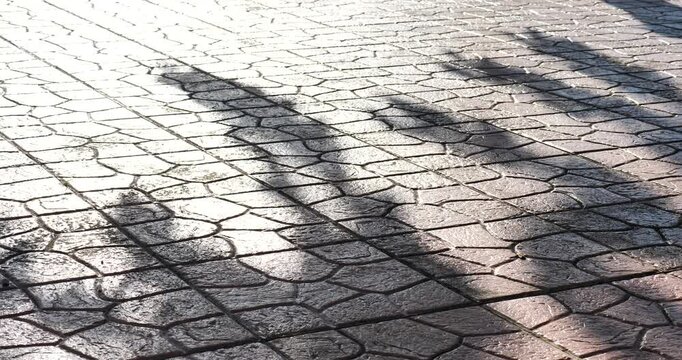 Shadows on Paving Stones: Long, abstract shadows cast by unseen foliage stretch across a textured surface of interlocking paving stones, creating a geometric play of light and dark.