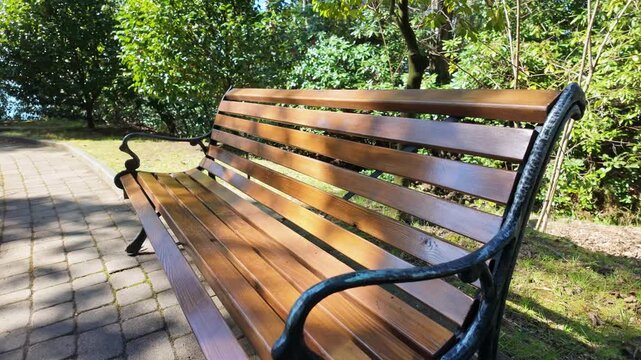 Empty wooden park bench with ornate iron armrests sits along a paved path in sunny garden.