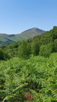Snowdonia Wales in summer