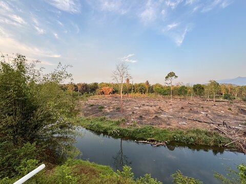Deforested land with tree stumps beside a river, cleared farmland in rural tropical landscape. Environmental change concept: deforested area transformed into farmland beside a tropical river