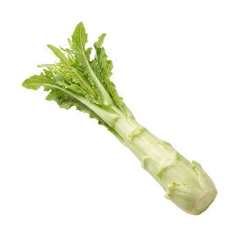 Fresh Celtuce Stem Isolated On Transparent Background