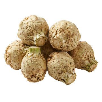 Fresh Celery Root Isolated On Transparent Background
