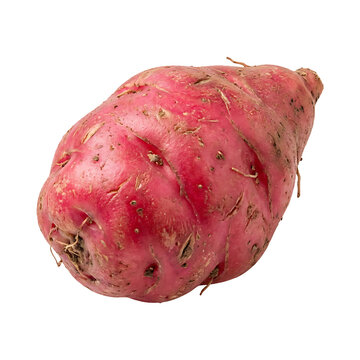 Fresh Oca Tuber Isolated On Transparent Background