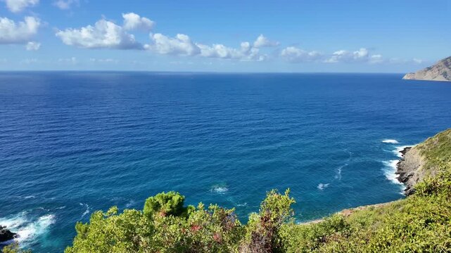 Coastal vegetation overlooking blue sea and distant headland