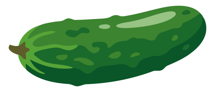 Fresh green cucumber vegetable illustration