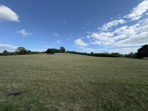 Vast green meadow and pasture landscape under a bright blue sky with white clouds
