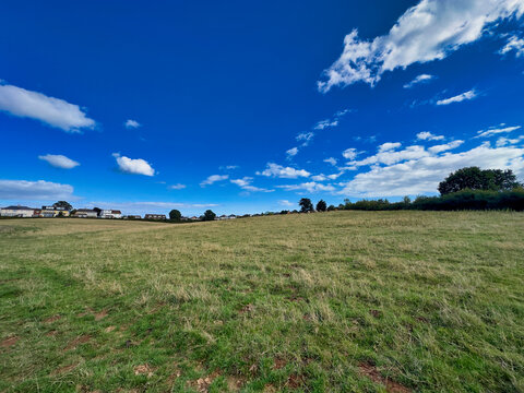Vast green meadow and pasture landscape under a bright blue sky with white clouds
