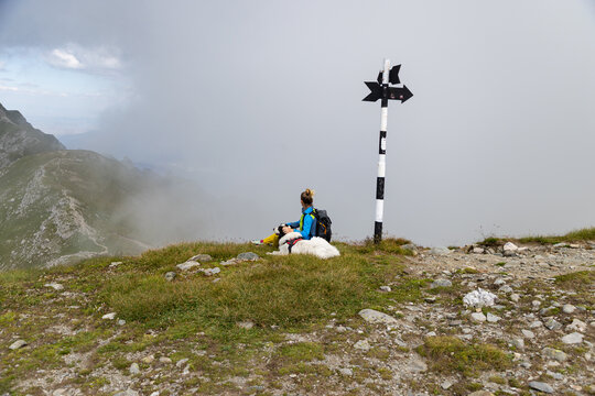 trekking with a dog in high mountains