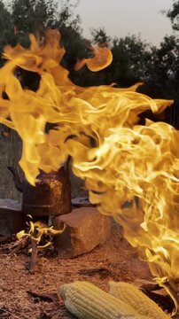 Relaxing outdoor lifestyle footage showcasing open flame corn roasting and hot tea brewing during a wilderness escape