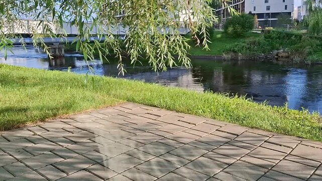 Beautiful summer day in city park by the river &ndash; Green Leaves Swaying in Sunlight Slow Motion	