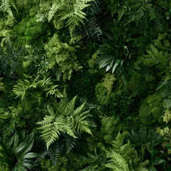 Biophilic nature pattern concept. Dense green foliage with various fern and leafy plant textures in close-up. © ANGEL4289