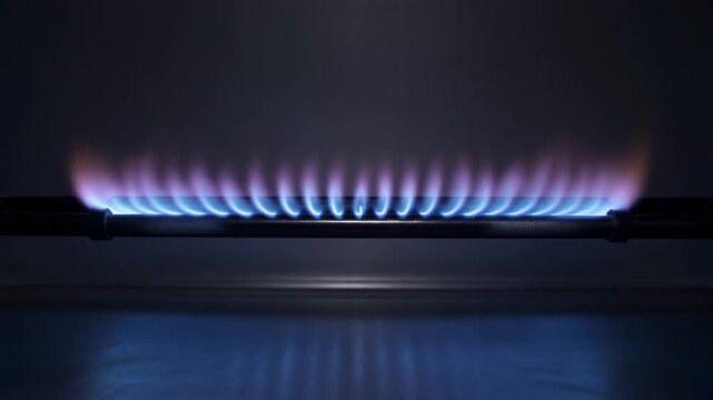 Long Linear Gas Burner Producing Stable Row of Blue Flames in Close View