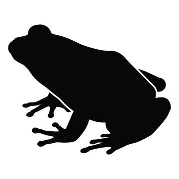 Frog silhouette vector graphic of a crouching toad for nature and wildlife design projects
