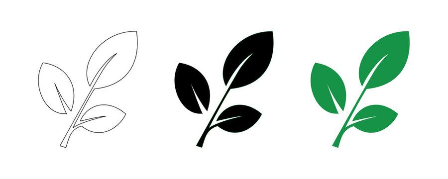 Three leaf branch icon set in outline silhouette and green color style for eco designs on transparent background.