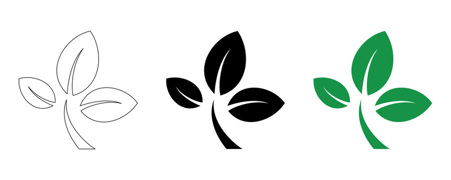 Three leaf sprig design elements in outline black and green colors for organic brand on transparent background.
