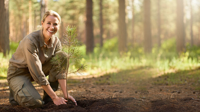 Smiling volunteer planting young pine sapling with blurred forest clearing background banner.

