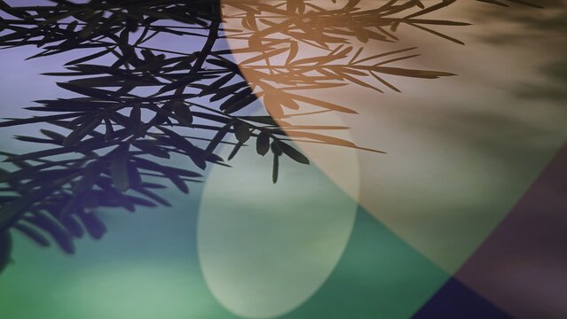 High-resolution 3D rendered abstract background featuring realistic botanical leaf shadows, soft sunlight flare, and subtle color gradients. Ideal for product mockups, cosmetic branding, aesthetic pac
