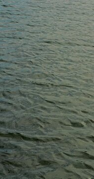 Natural water texture filmed on camera.  Water surface glides under daylight, showing soft texture, depth, and tranquil natural feeling.