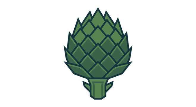 Artichoke vector illustration features a detailed green vegetable isolated on a white background with a clean graphic style.