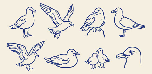 Fototapeta premium Hand drawn blue line vector set of seagulls, flying sea birds, standing gulls, chicks, and head portrait doodles