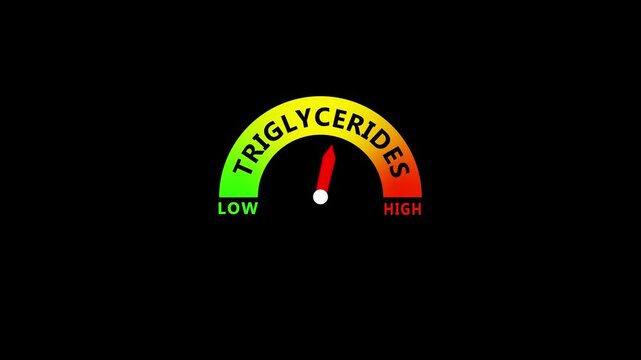Triglyceride Level Medical Gauge Showing Low to Normal and High Blood Lipid Levels for Cardiovascular Health Monitoring and Assessment