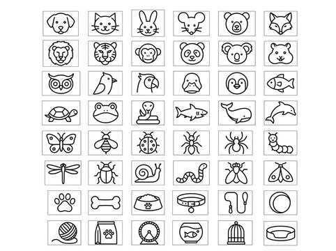 Big set of cute animals birds fish insects and pet care line art vector icons