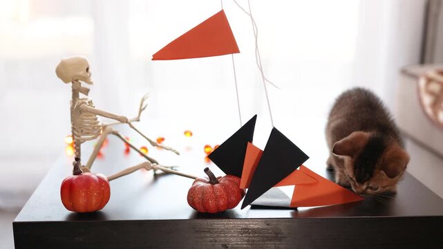 Playful Halloween kitten bats at hanging geometric decorations on a festive tabletop scene