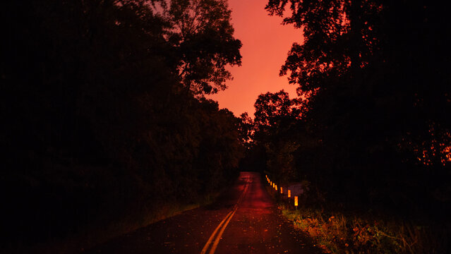 Sunrise, bright red and orange,  on a forest road with reflected wet blacktop pavement