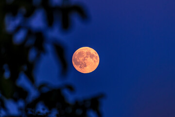 full moon in the night © Gena01