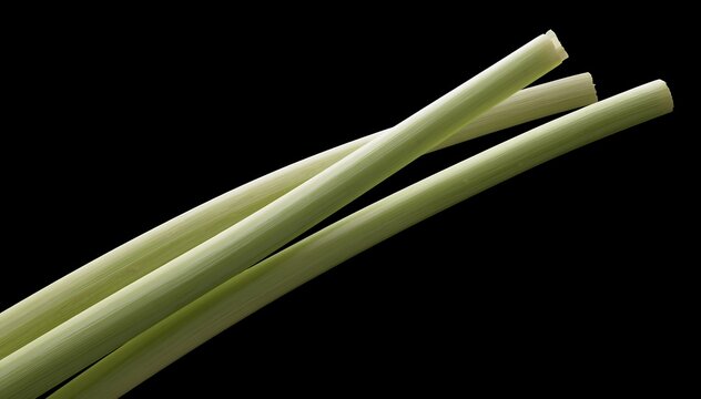 Sliced Lemongrass Strands on Black Background
