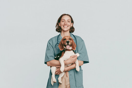 Veterinarian woman holding beagle dog smiling for animal care
