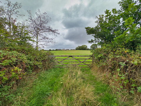 Wooden Farm Gate Opening to a Green Field Under a Cloudy Sky
