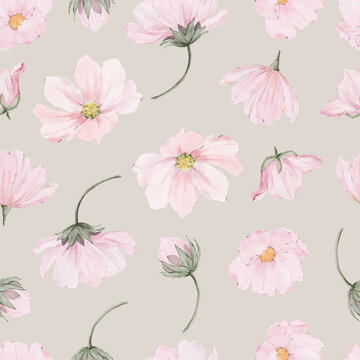 Soft Pink Cosmos Flowers on a Warm Neutral Background. Delicate Floral Pattern with a Romantic Cottagecore Aesthetic.