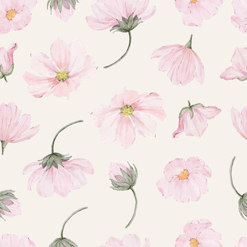 Romantic Pink Cosmos Flower Pattern on a Light Background. Delicate Botanical Surface Design with a Soft Feminine Style.