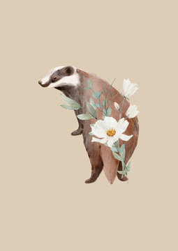 Watercolor badger with delicate white flowers on a warm neutral background. Whimsical woodland animal illustration for nursery decor and nature inspired design.