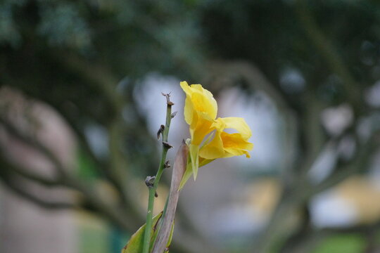 Natureza no inverno continua linda.