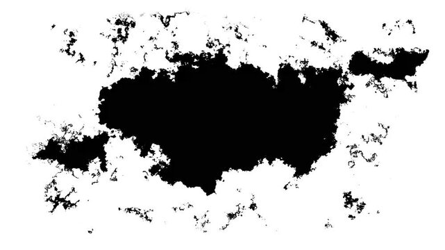 Black inks drops transition splatter Drop white ink spreads white Background Ink splatter splashes, central, blob of black ink rapidly blooming. Abstract slow motion transition reveal.4k animation