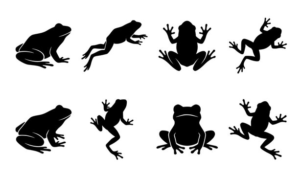Frog silhouette vector asset collection with flat black toad shapes in jumping sitting and swimming poses for nature graphics