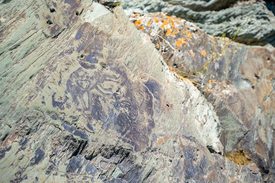 Ancient petroglyphs carved into rock at Tomskaya Pisanitsa in Siberia. Prehistoric rock art represents archaeological heritage and early human culture