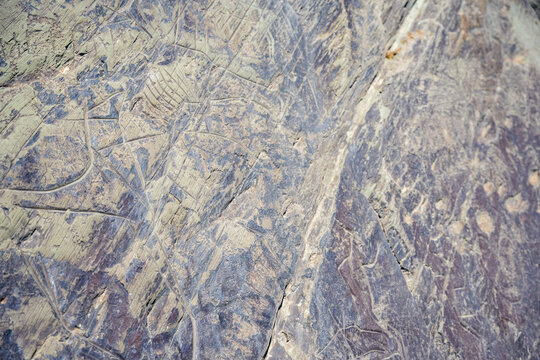 Ancient petroglyphs carved into rock at Tomskaya Pisanitsa in Siberia. Prehistoric rock art represents archaeological heritage and early human culture