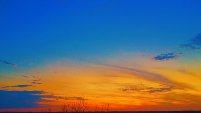 Golden sunset horizon with tree silhouettes in backlight against vibrant blue and orange gradient sky background.