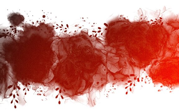 Red and Brown Watercolor Splatter Border with Botanical Accents on White Background