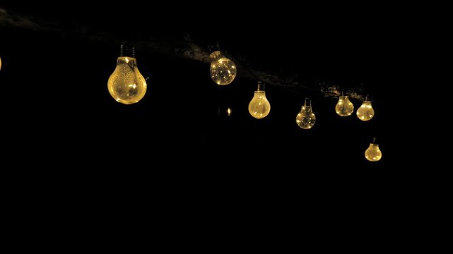 String Lights on Tree Branch at Night Garden Crickets