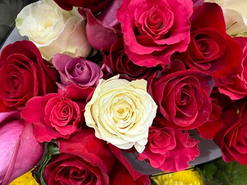 Mixed Rose Bouquet: A striking central white rose surrounded by beautiful pink and dark red roses.