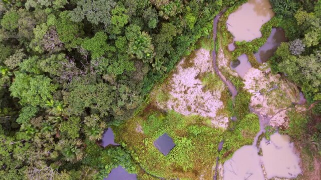 Aerial view of an illegal gold mining concession in the Amazon, Napo province, Ecuador