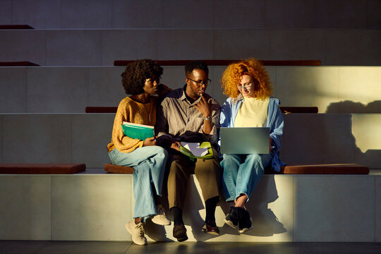 Classmates Studying Together