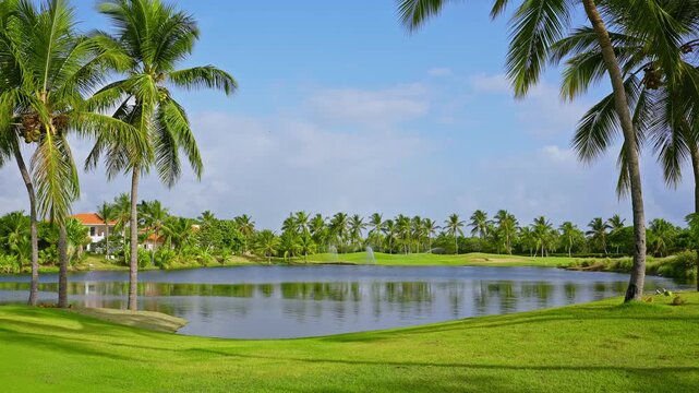 Vibrant palm trees set against a city pond. Palm tree shadows on the green grass of a tropical park. A walk across a beautiful green lawn on a summer evening. A picnic on the grass in a city park.